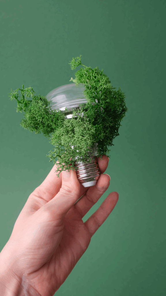 Nous apercevons une main qui tient une ampoule qui est éteinte, on remarque autour de l'ampoule de la verdure